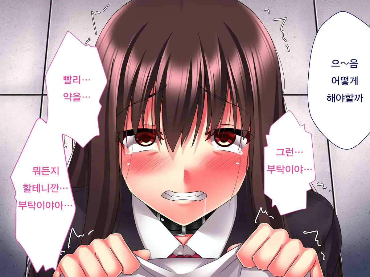 Kimeseku Nikuana Pet ~ Boku O Futta Takabisha Onna O Kankin Site Kusuri De Kuppuku Saseru ~